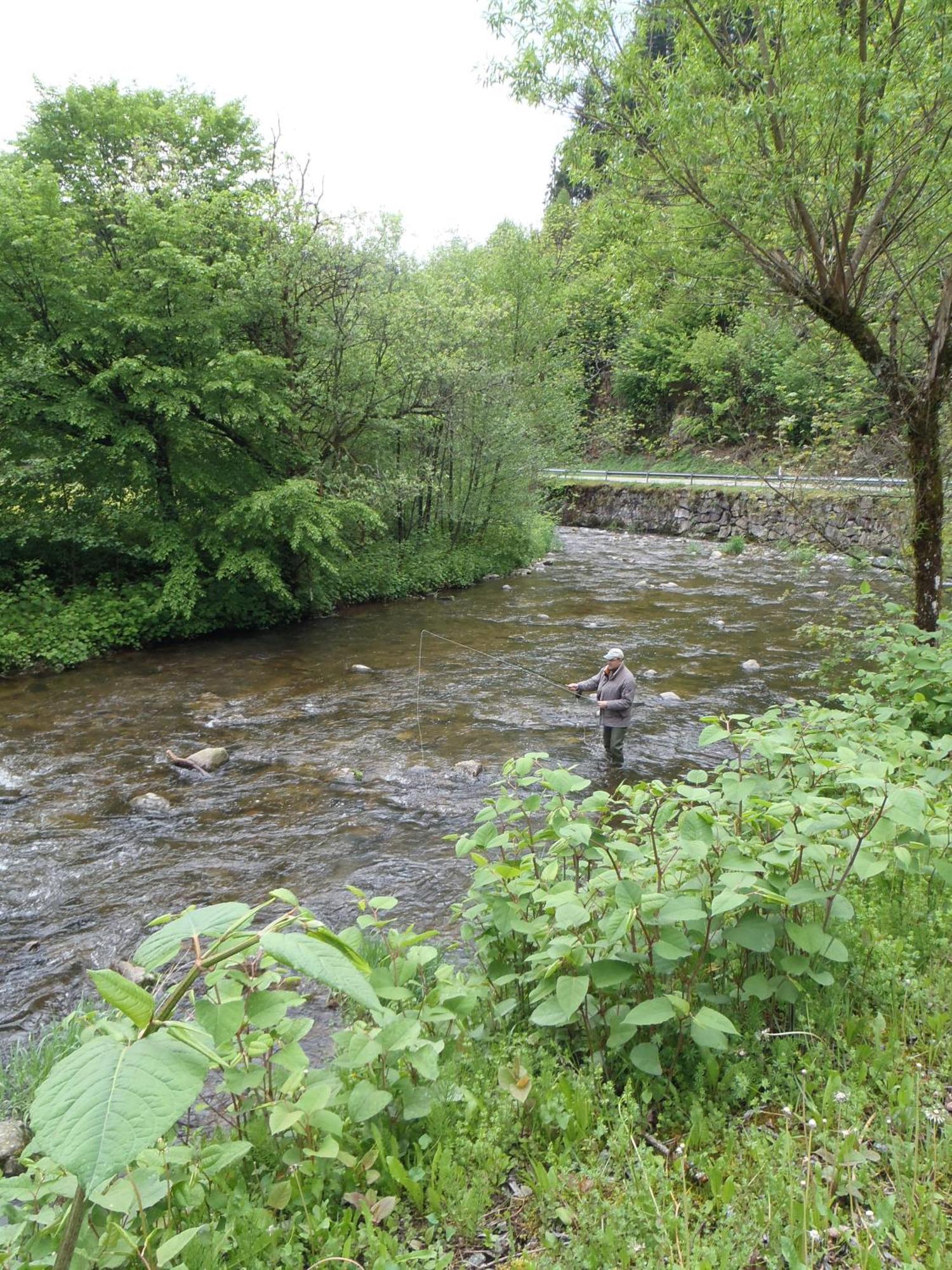 Hotel Restaurant Ochsenwirtshof Bad Rippoldsau-Schapbach Exteriör bild