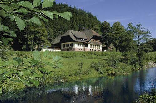 Hotel Restaurant Ochsenwirtshof Bad Rippoldsau-Schapbach Exteriör bild